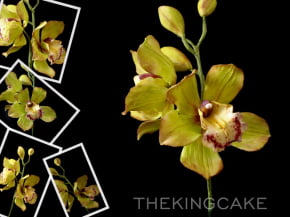 Molde de Silicone Frisador/Marcador da Garganta da Orquídea Cymbidium
