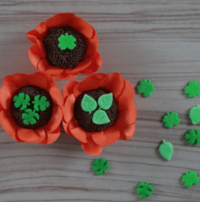 Kit Réguas Miniaturas de Folhas Costela de Adão - 3 Modelos