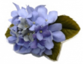 Ejetor e Cortador de Flor Hortência Hortênsia com 3 peças - PEQUENO