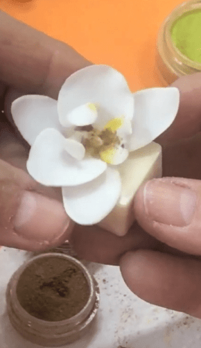 Conjunto de Cortadores de Mini Orquidea Phalaenopsis