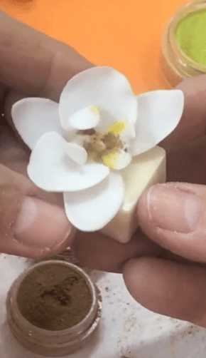 Conjunto de cortadores de mini Orquídea Denphal 