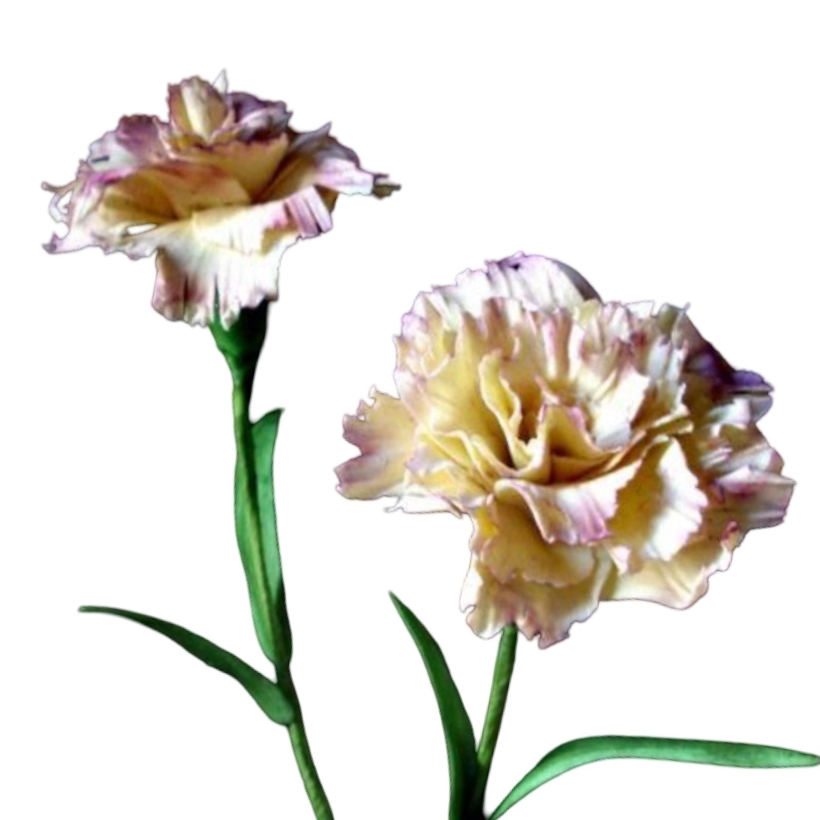 Cortador Inox da Flor Cravo com 3 peças