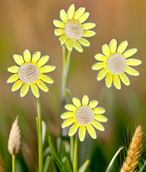 Ejetor e Cortador de Flor Margarida 3 peças 16 pétalas