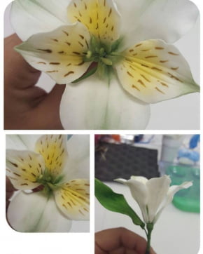 Conjunto de 2 Cortadores das Pétalas da Flor Astromélia PEQUENA