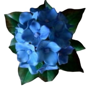 Conjunto de Cortadores da Pétala da Flor Hortênsia