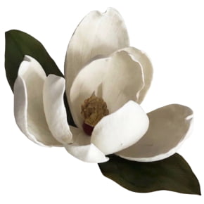 Conjunto de Cortadores da Flor Magnólia Pétala-Grande - Latão - O Corte Perfeito