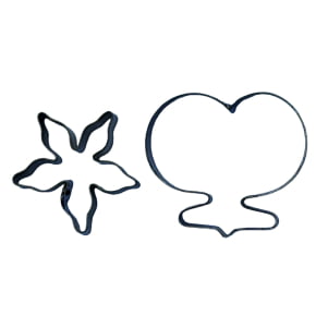 Conjunto de  Flor de Orquídea Oncidium / Chuva de Ouro