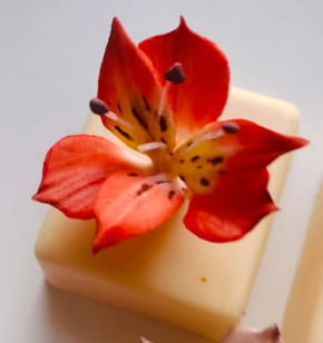 Cortador Mini Flor e Folha da Flor Astromélia