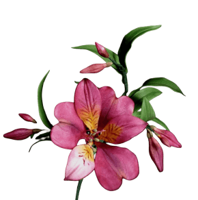 Molde de Silicone Frisador/Marcador de nervuras da Flor Astromelia dupla face