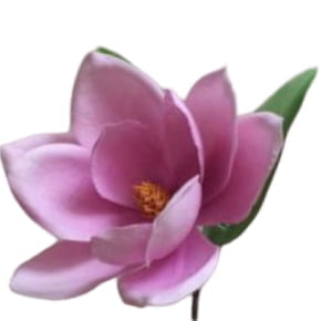 Molde de Silicone Frisador/Marcador de nervuras da Pétala da Flor Magnólia