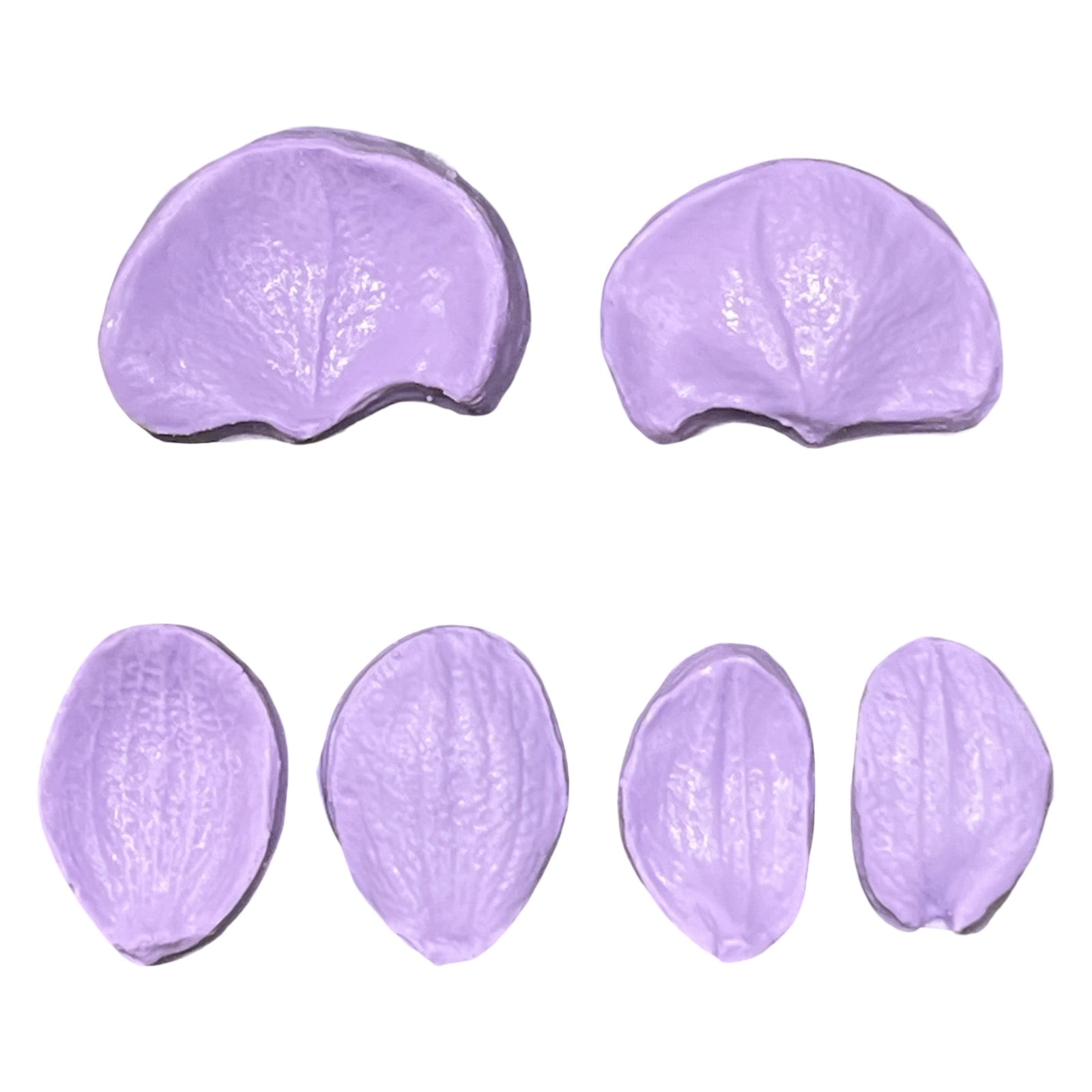 Molde de Silicone de Frisador/Marcador de nervuras de Pétalas da Flor Orquídea Phalaenopsis, 6 peças, 3 conjuntos dupla face