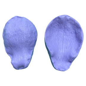 Molde de Silicone Frisador/Marcador de nervuras da Pétala da Flor Magnólia