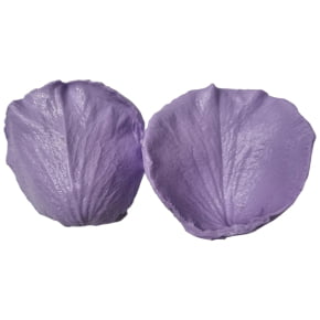 MOLDE DE SILICONE FRISADOR/MARCADOR DE NERVURAS DA PÉTALA DA FLOR ROSA