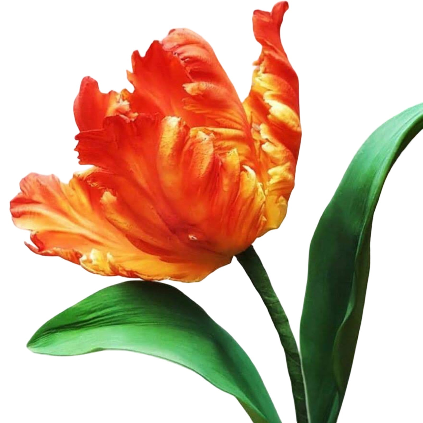 Molde de Silicone Frisador/Marcador de nervuras da Pétala da Flor Tulipa Crespa