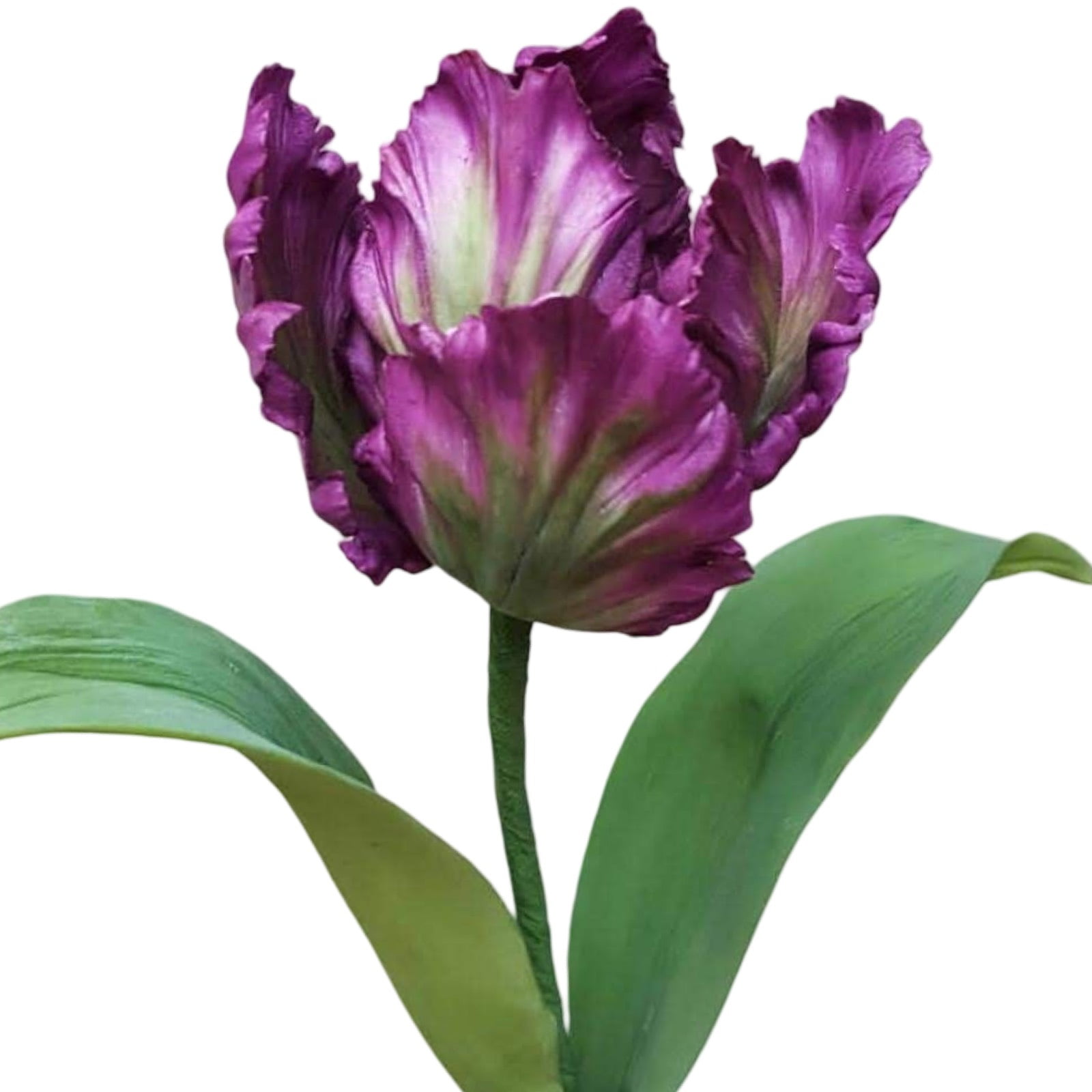 Molde de Silicone Frisador/Marcador de nervuras da Pétala da Flor Tulipa Crespa