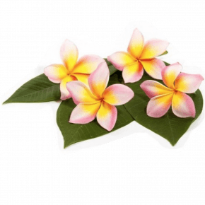 Molde de Silicone em formato de 3 tamanhos da Flor Plumeria