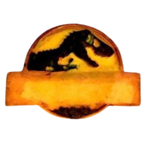 Molde de Silicone em formato de Placa Dinossauro para Nome