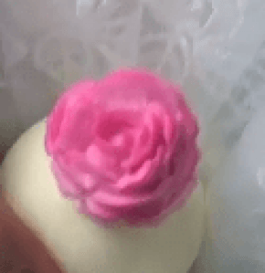 Molde de Silicone em formato de Rosas de tamanhos e modelos variados com 4 cavidades