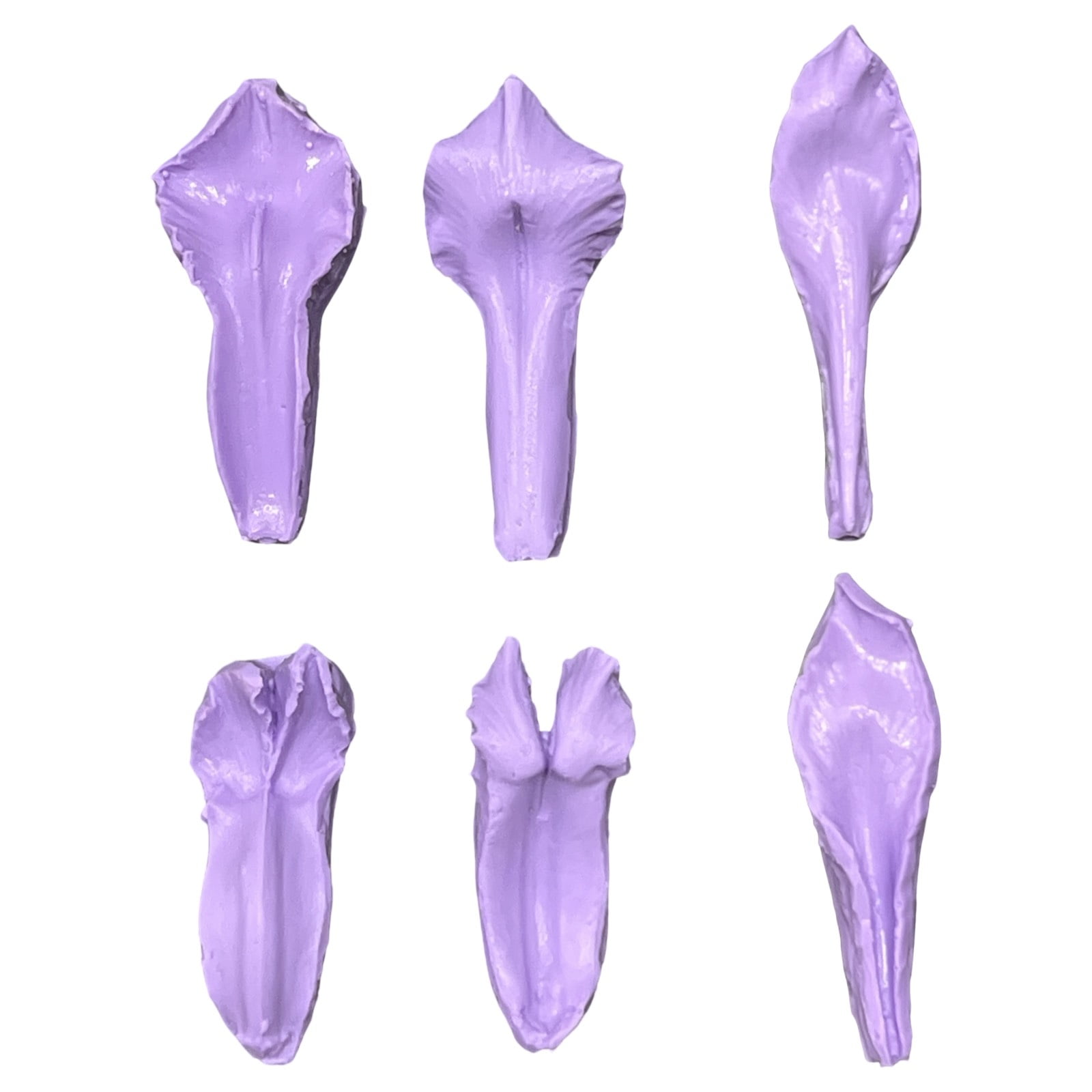 Molde de Silicone Frisador/Marcador de nervuras das Pétalas da Flor Iris Holandesa